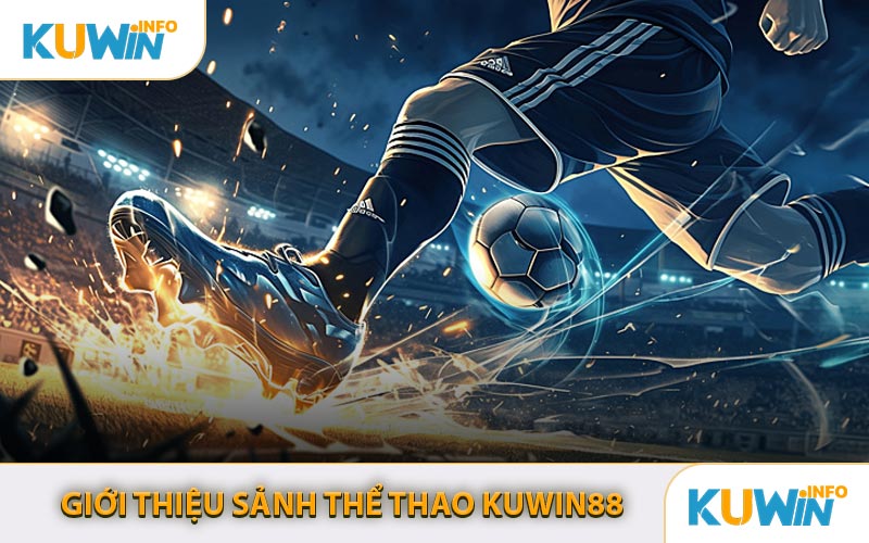 Giới Thiệu Sảnh Thể Thao KUWIN88